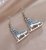 3-D Crystal Earrings